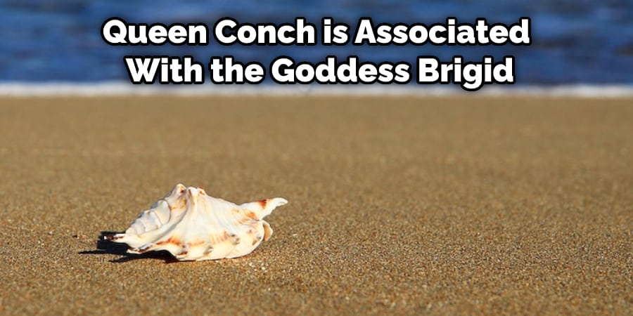 Queen Conch is Associated With the Goddess Brigid