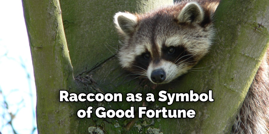 Raccoon as a Symbol of Good Fortune