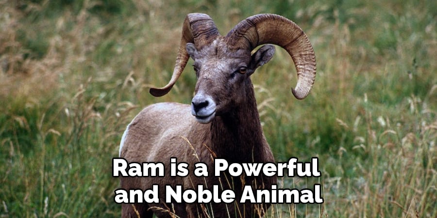 Ram is a Powerful and Noble Animal