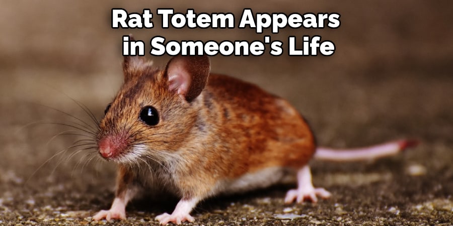 Rat Totem Appears in Someone's Life