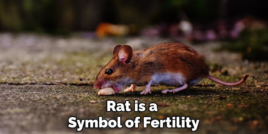 Rat is a Symbol of Fertility