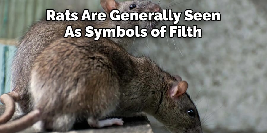 Rats Are Generally Seen  As Symbols of Filth