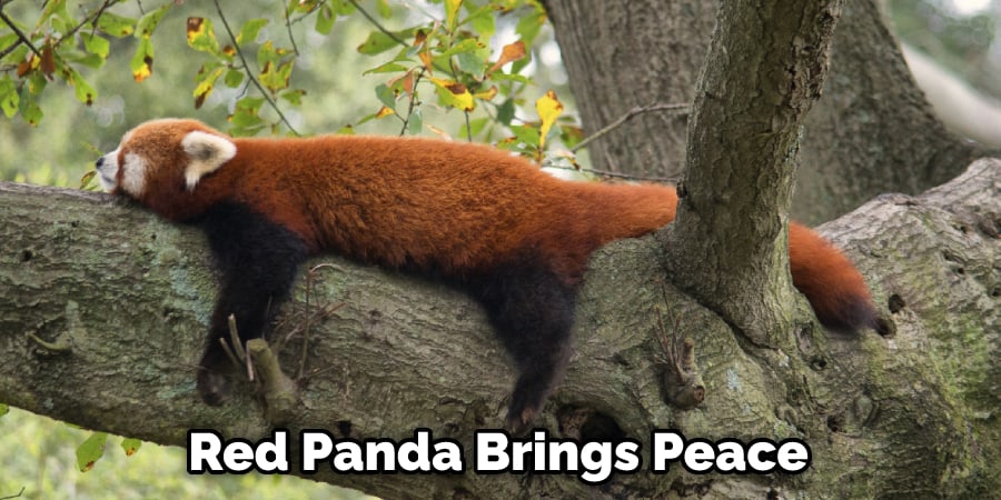 Red Panda Brings Peace