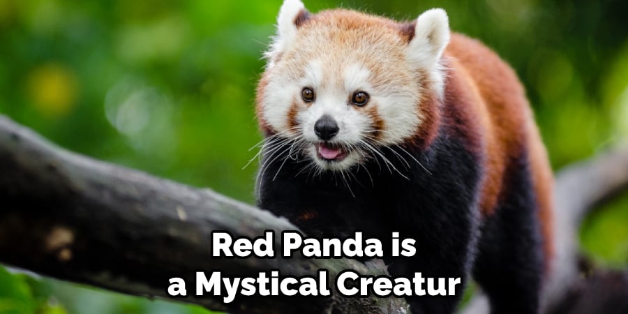 Red Panda is a Mystical Creatur