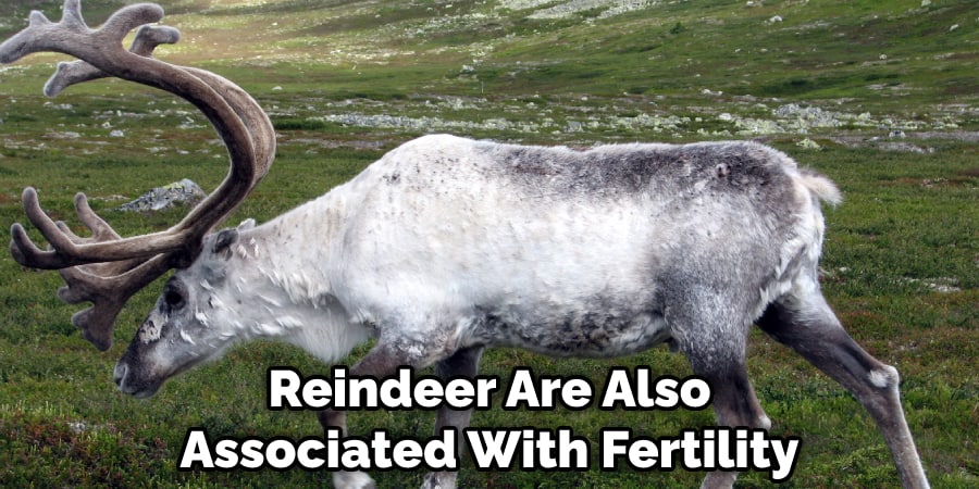 Reindeer Are Also Associated With Fertility