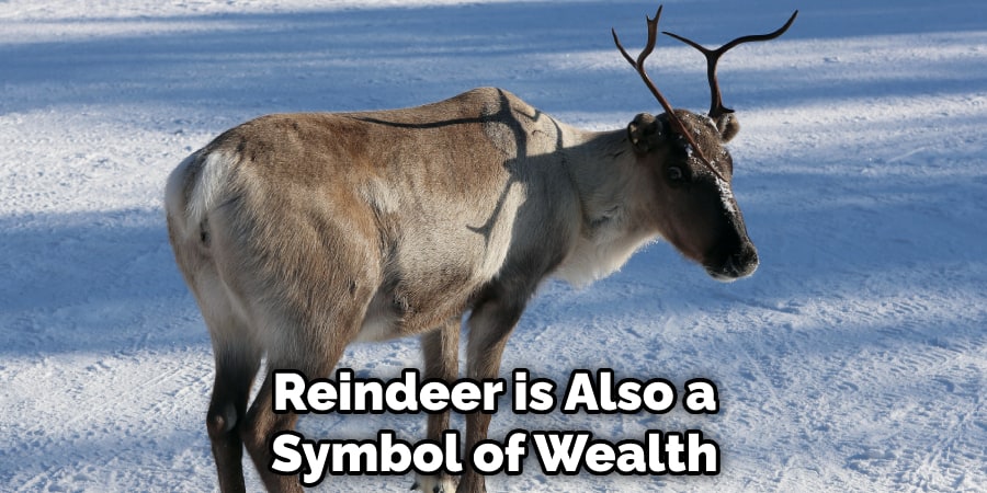 Reindeer is Also a Symbol of Wealth
