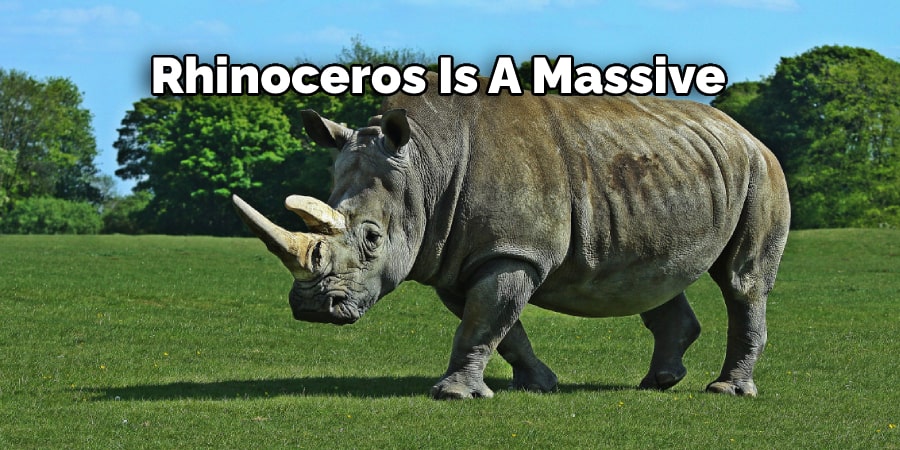Rhinoceros Is A Massive 