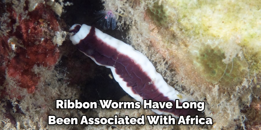 Ribbon Worms Have Long Been Associated With Africa