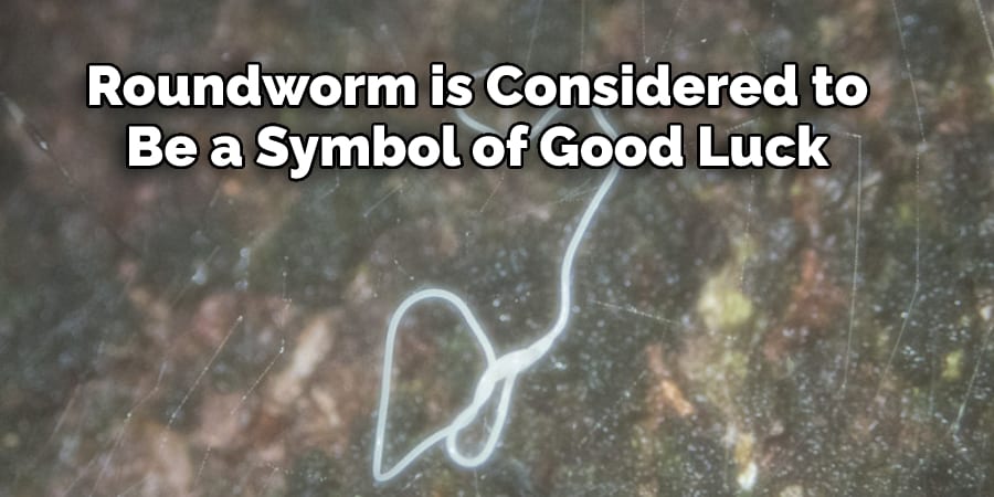 Roundworm is Considered to Be a Symbol of Good Luck