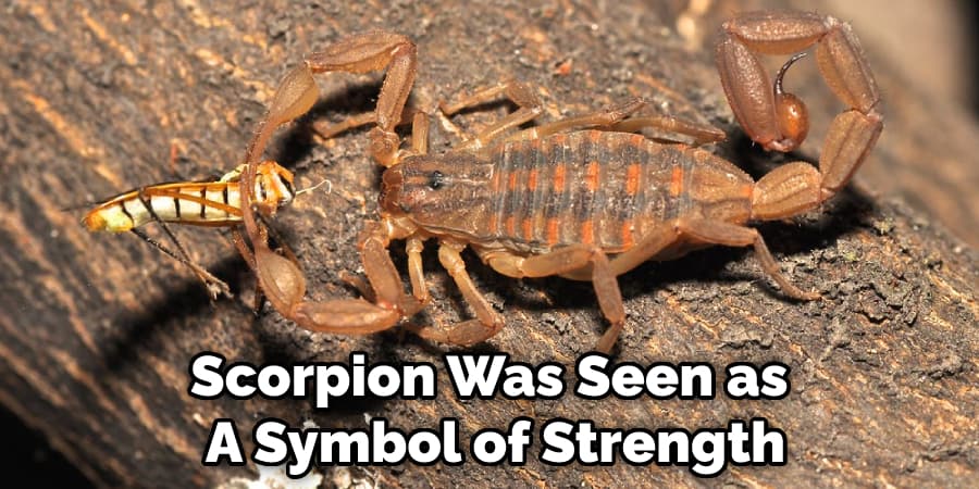 Scorpion Was Seen as  A Symbol of Strength