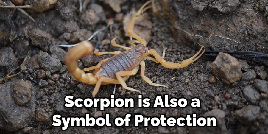 Scorpion is Also a  Symbol of Protection