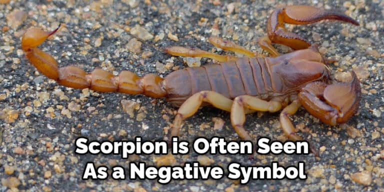 Scorpion Spiritual Meaning, Symbolism, and Totem (2023)