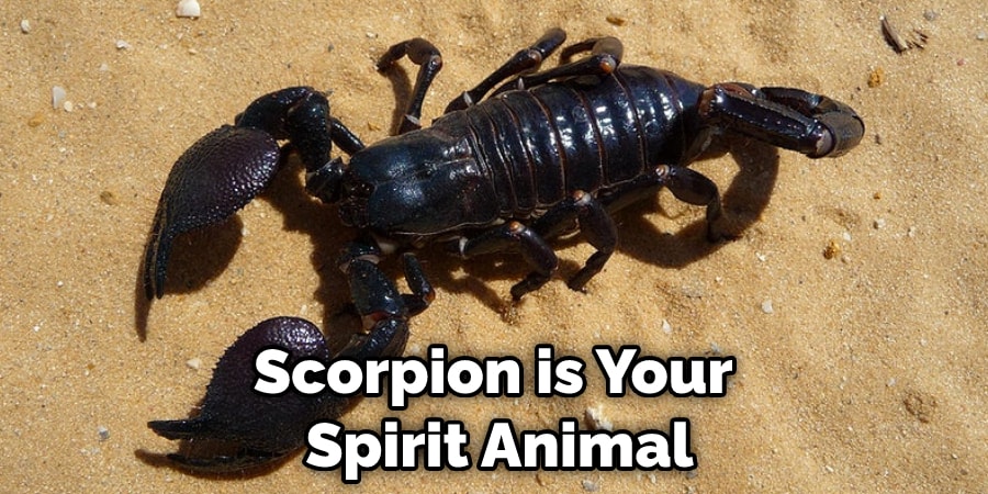Scorpion is Your  Spirit Animal