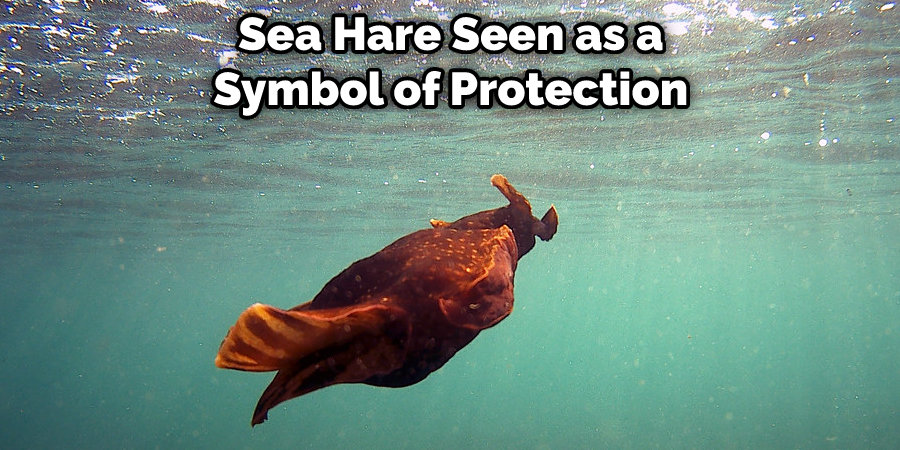 Sea Hare Seen as a Symbol of Protection 