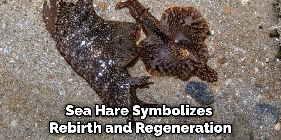 Sea Hare Symbolizes Rebirth and Regeneration