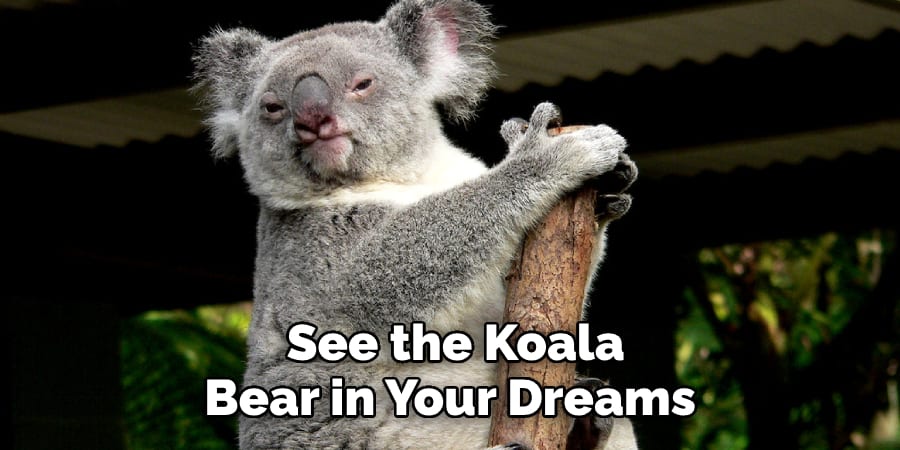  See the Koala  Bear in Your Dreams