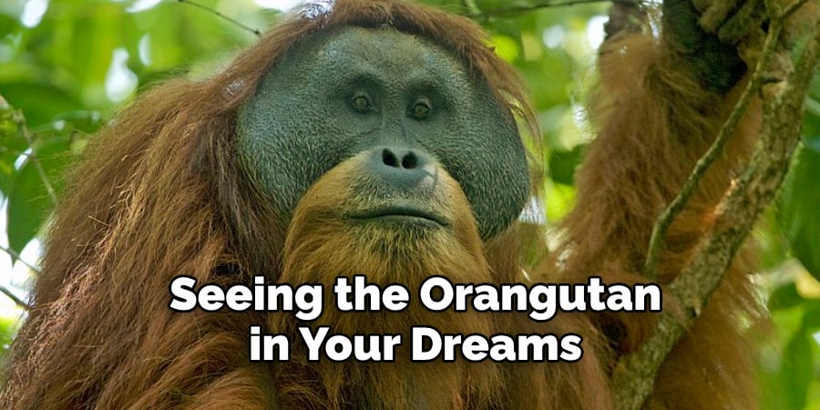 Seeing the Orangutan in Your Dreams