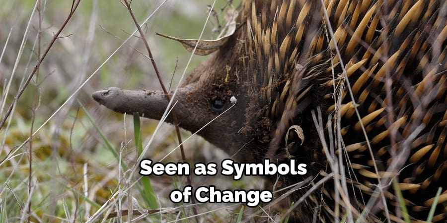 Seen as Symbols of Change 