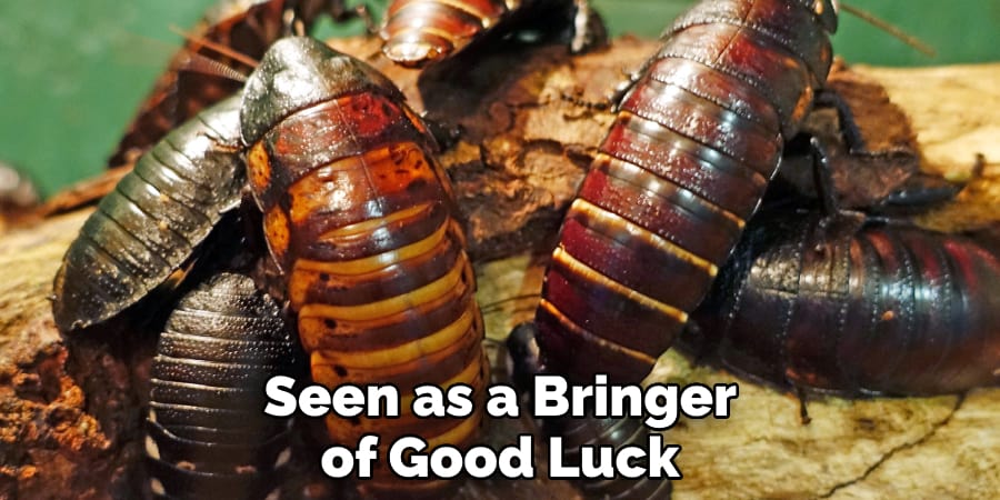 Cockroach Also Symbolizes Change