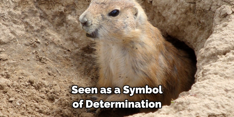 Seen as a Symbol of Determination