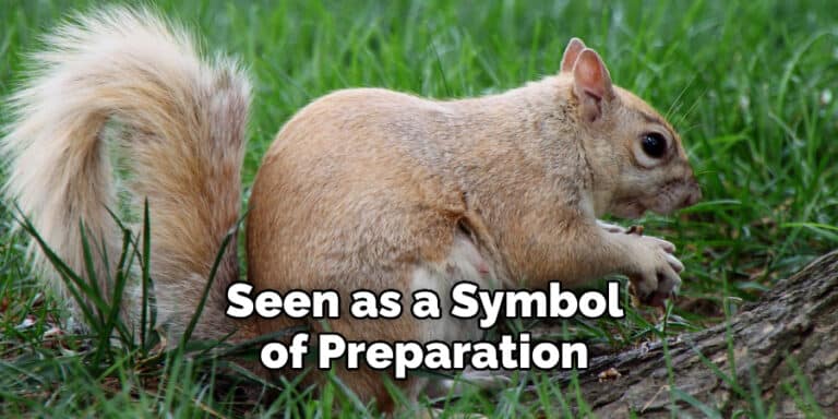 Squirrel Spiritual Meaning, Symbolism, And Totem | Explained