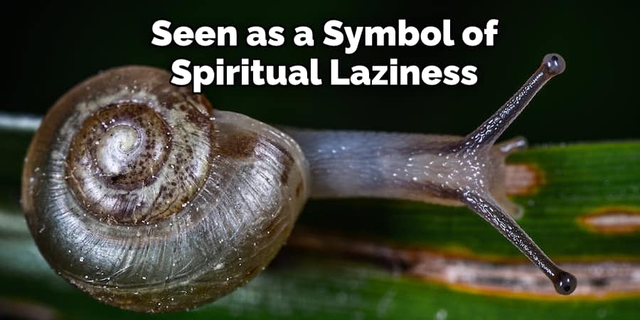 Seen as a Symbol of  Spiritual Laziness
