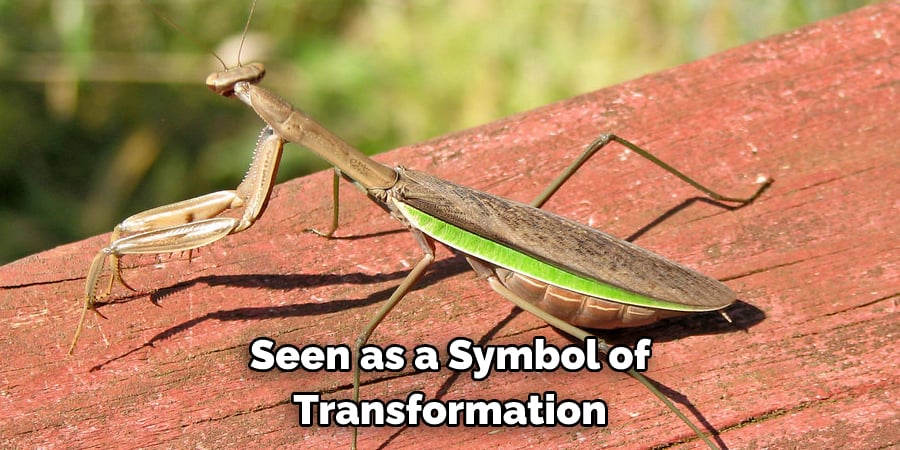 Seen as a Symbol of Transformation