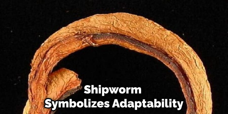 Shipworm Symbolizes Adaptability