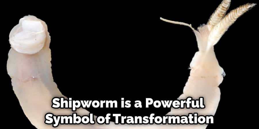 Shipworm is a Powerful Symbol of Transformation