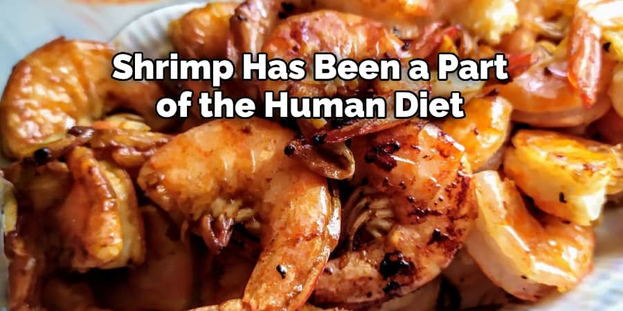 Shrimp Has Been a Part  of the Human Diet