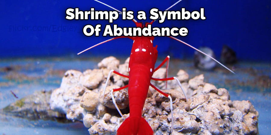 Shrimp is a Symbol Of Abundance
