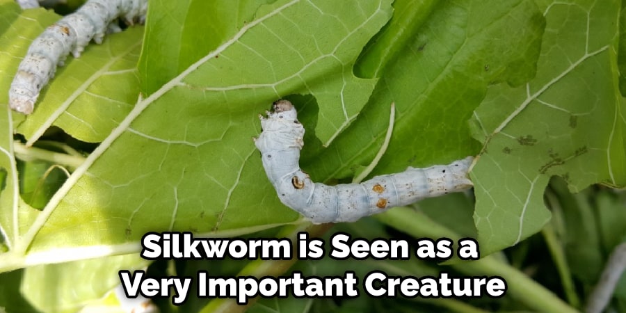 Silkworm is Seen as a Very Important Creature