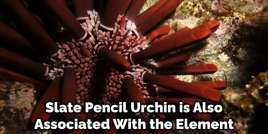 Slate Pencil Urchin is Also Associated With the Element