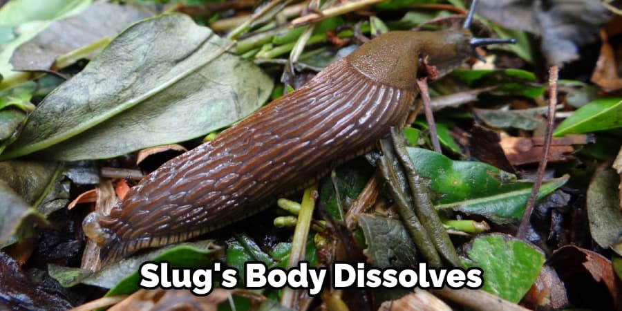 Slug's Body Dissolves