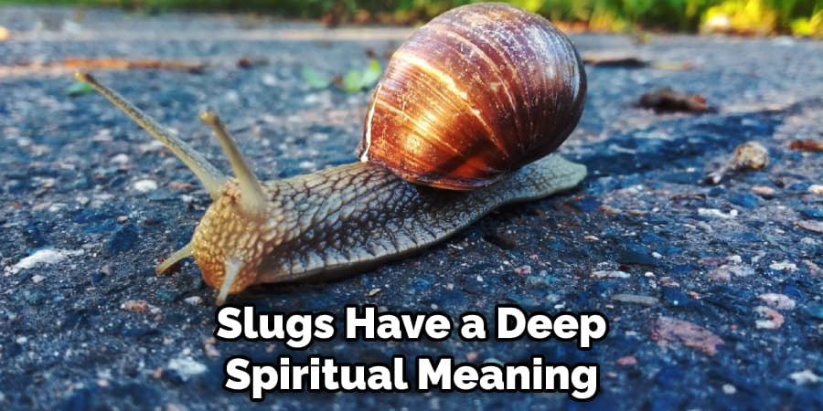 Slugs Have a Deep Spiritual Meaning