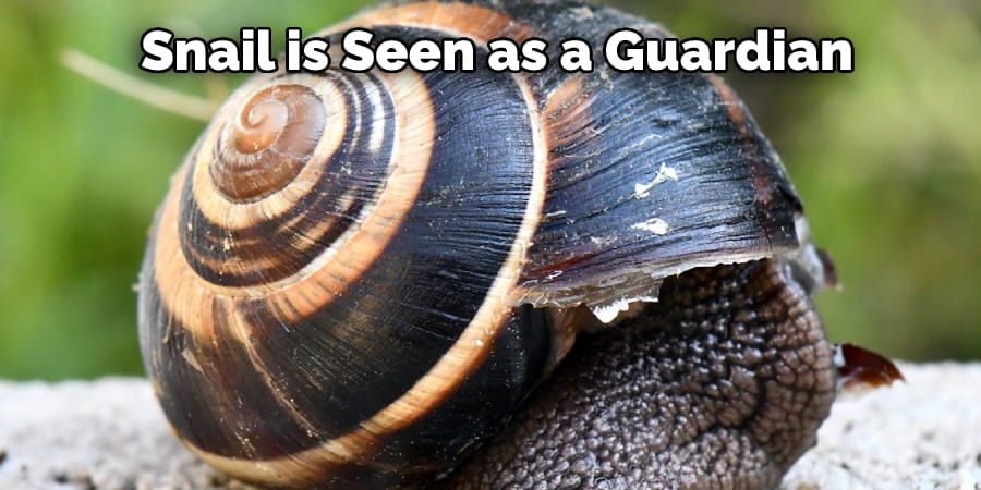 Snail is Seen as a Guardian