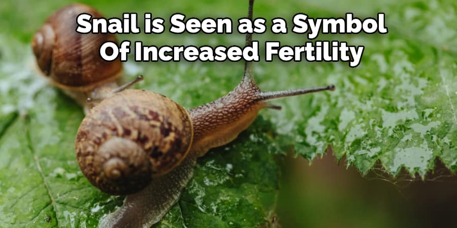 Snail is Seen as a Symbol Of Increased Fertility 
