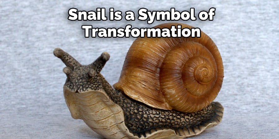 Snail is a Symbol of Transformation