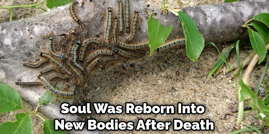 Soul Was Reborn Into New Bodies After Death