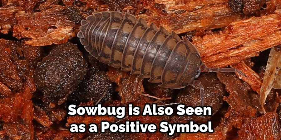 Sowbug is Also Seen as a Positive Symbol