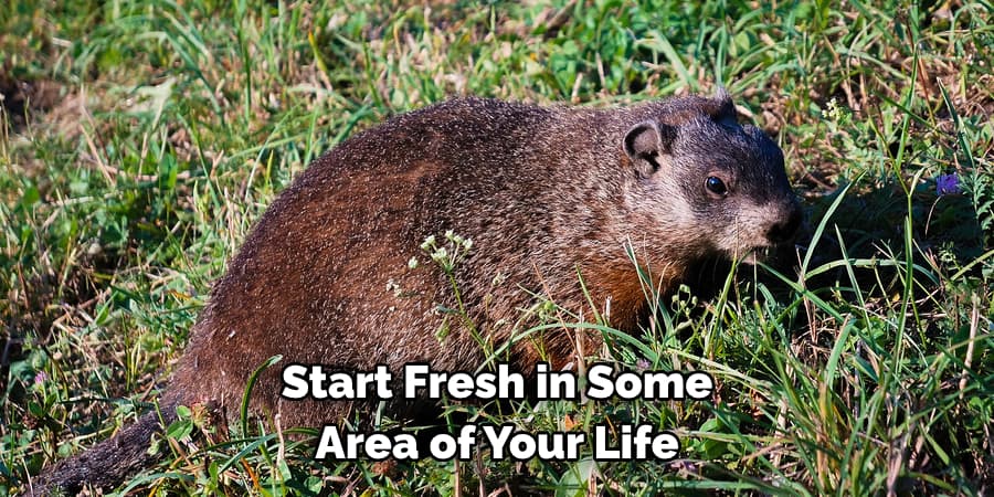 Start Fresh in Some Area of Your Life