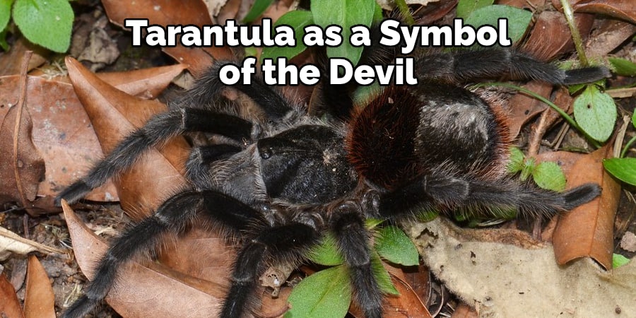 Tarantula as a Symbol of the Devil