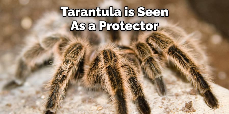 Tarantula is Seen  As a Protector