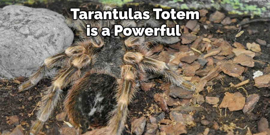 Tarantulas Totem  is a Powerful 