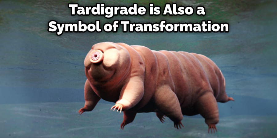 Tardigrade is Also a Symbol of Transformation