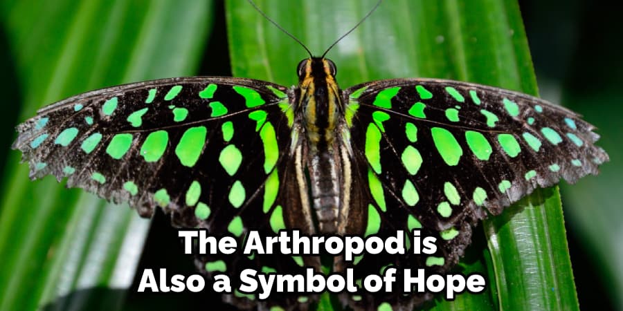 The Arthropod is Also a Symbol of Hope