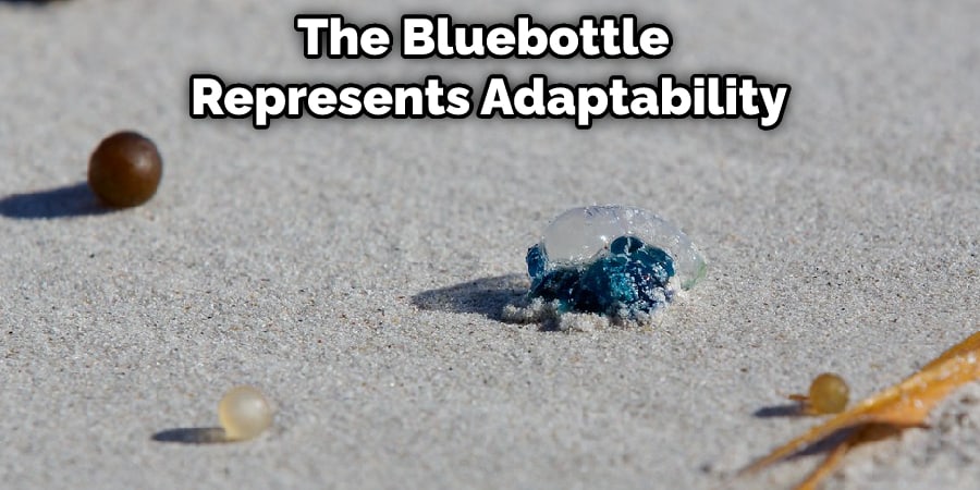 The Bluebottle Represents Adaptability