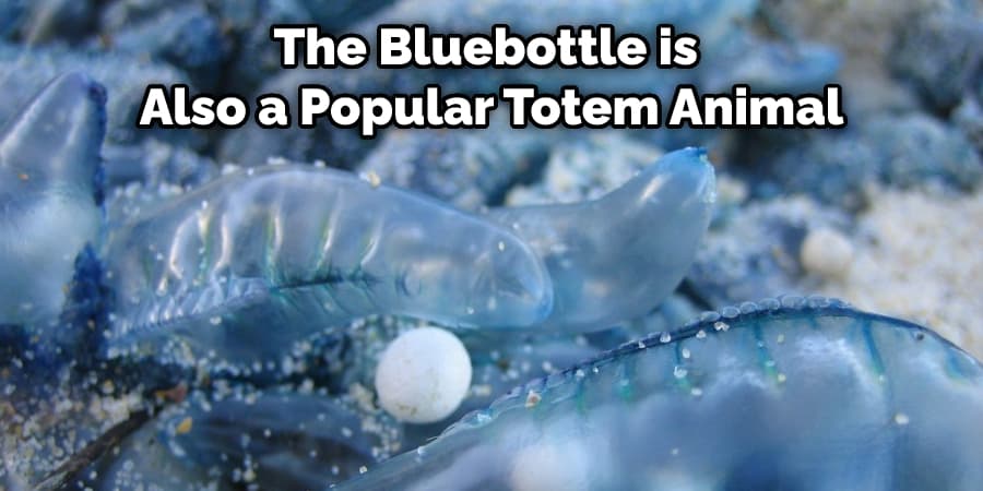 The Bluebottle is Also a Popular Totem Animal