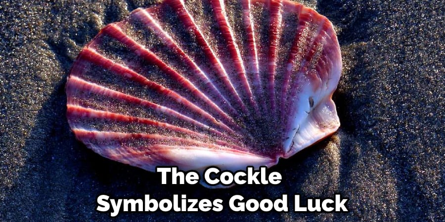The Cockle Symbolizes Good Luck