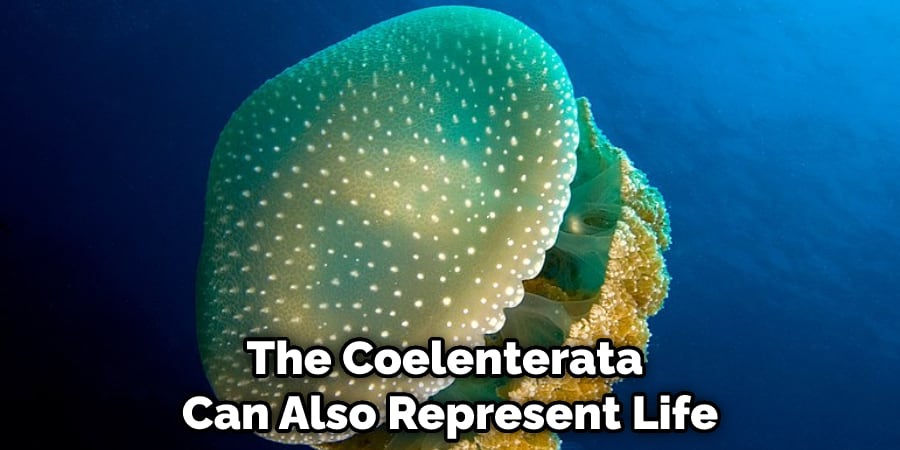 The Coelenterata Can Also Represent Life 